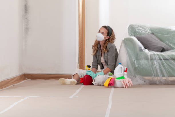 Reliable Black Mold Remediation contractor in West Point, GA by 24 Hour Mold Removal